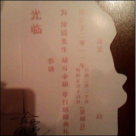 ɳ����ɻ���Ո���ع� �������ͺܡ����֡�(�D)