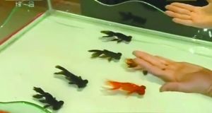 �����|���ؽ��~ħ�g���������~�ĳ��]׃�Q�ʽ