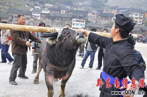 ��Ϫ�������e�І������J���ü����ӣ��D��