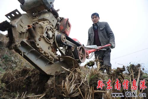 �紺�����r��æ���D��