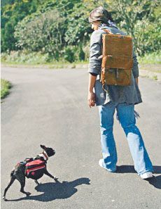 �����ٳ��J(r��n)���� ��Т�쌑(xi��)΢����ʾ������(�D)