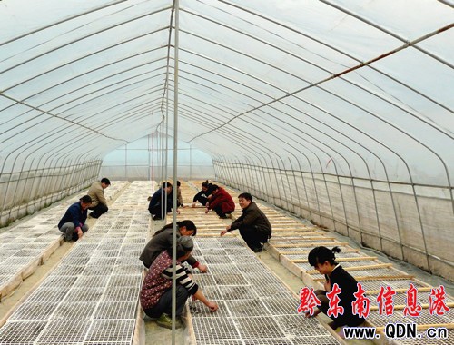 �얿h150�￾��������ɣ��D��