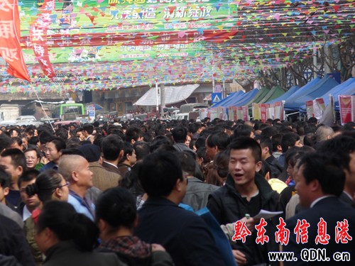 �P���e�k2011��