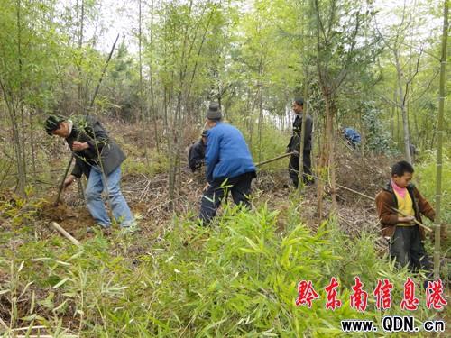 �얿h���Nֲ�Ʉş���죨�D��