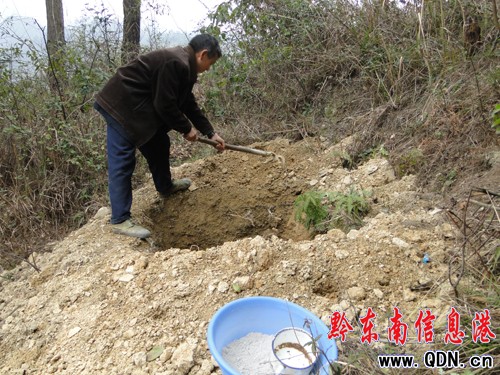 �얿h���Nֲ�Ʉş���죨�D��