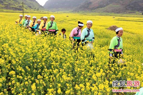 �����F�� ׌�˟o�����@�G���D��