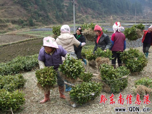 ��ɽ�r��L�����~���^�N��æ���D��