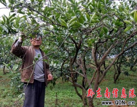 ��կ���ŻҸ����� �r����֦æ���D��