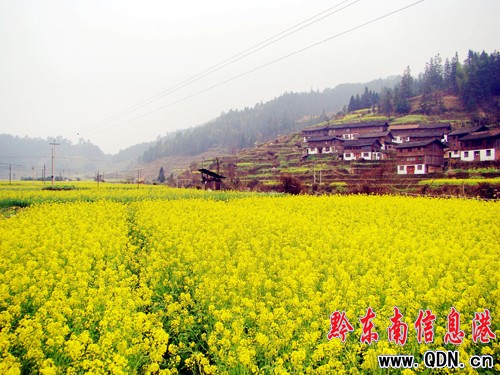 3����Ѯ���F���\���p�Ͳ˻�ȥ�����M�D��