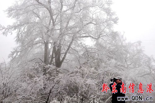 �׹�ɽ�����¬F(xi��n)�Fڡ���D��