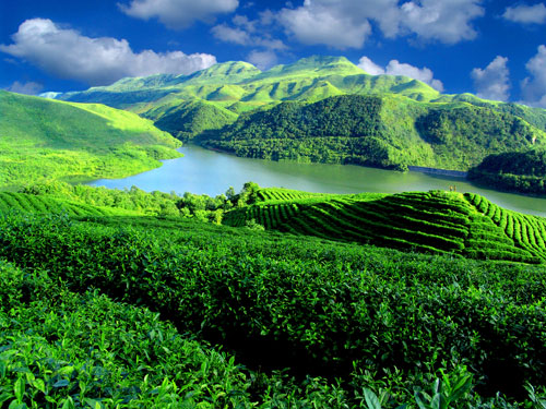 �c(di��n)���g�[��һ�(y��)