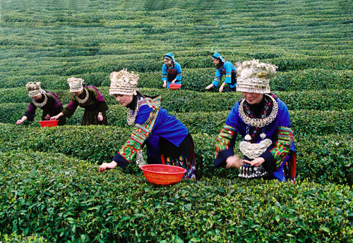 �c(di��n)���g�[��һ�(y��)