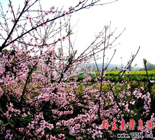 �어��ⰻȻ�������գ��M�D��