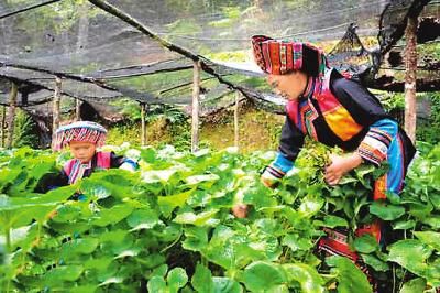 �Ї������{��ؚ�˜� ؚ���˿ڻ��ط�һ�|���D��