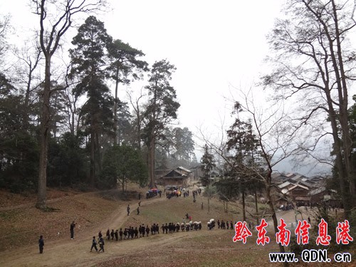 ����ԭ���B ���e�ȼ��Σ��D��