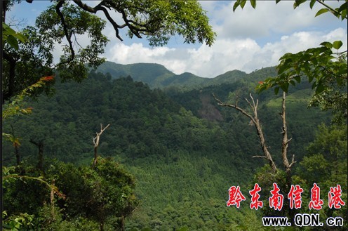 ���Ӱ���ԭʼ��~��ɭ�ֹ��@���M�D��