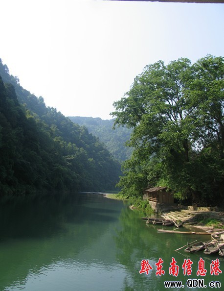 ���Ӱ���ԭʼ��~��ɭ�ֹ��@���M�D��