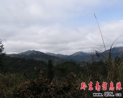 ���Ӱ���ԭʼ��~��ɭ�ֹ��@���M�D��