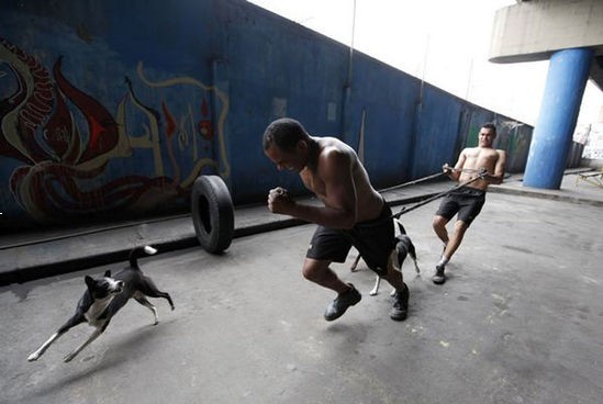 �M�D������ؚ���ȭ��Ӗ���ع� �U����ɵ���