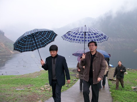 ���w�S���L(zh��ng)�����ӿh�ϼ��(zh��n)�{(di��o)�У��M�D��