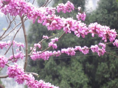 ӡ��ǭ�|�ϣ�̤������ꖺӣ��D��