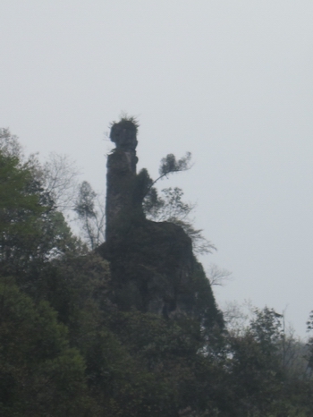 ӡ��ǭ�|�ϣ�̤������ꖺӣ��D��