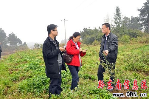 �����Ո�����L�F���齭�h��˾悿��죨�M�D��