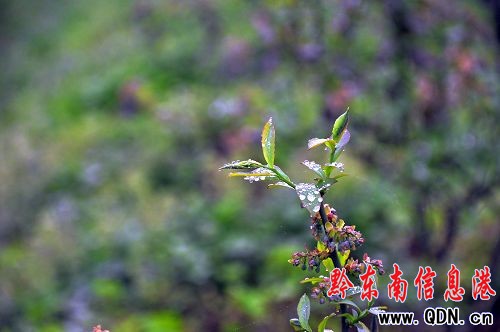 �����Ո�����L�F���齭�h��˾悿��죨�M�D��