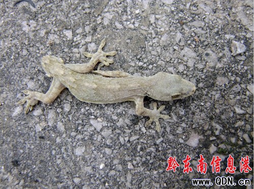 �P���@�F�p�^�ڻ� ���ҷQ���п��Ѓrֵ���D��