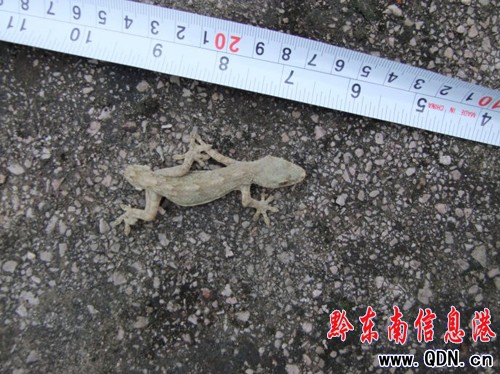 �P���@�F�p�^�ڻ� ���ҷQ���п��Ѓrֵ���D��