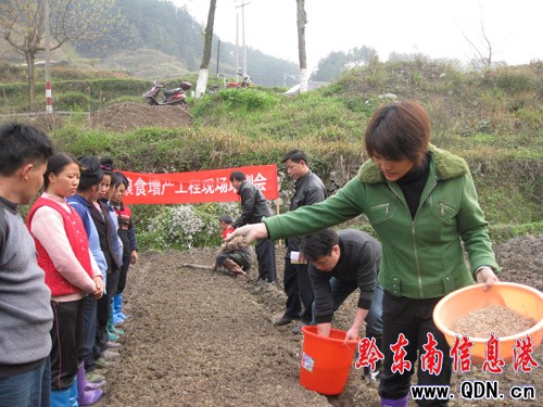 ���ӿh�_չ�Zʳ���a���̬F����Ӗ�����D��