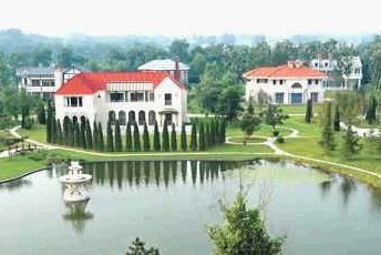 ��ʯ��Ͷ�Y8�|�������ǾƵ� ���ؽ��I����(�D)