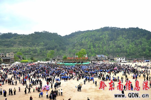 2011�F��������ù����_��¡���_Ļ���M�D��