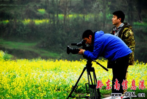 ��ҕ��̽��•�l�F��̽�L�����B�\������ˇ(�M�D)