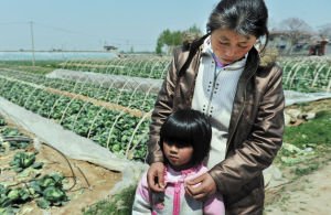 ɽ�|���Ĳ˃r�����8���Xһ�� ���r(n��ng)�^���Ԛ�