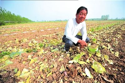 �̄ղ��o��������I(y��)��ُ���N�߲�