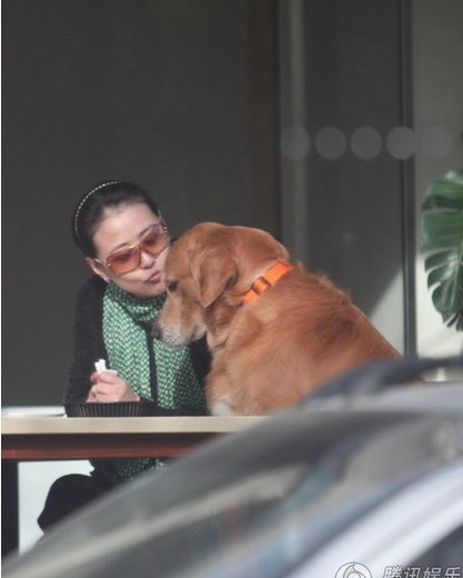 �ܺ������˴����s���� ϯ�g�������F�ǐ�Ȯ(�D)