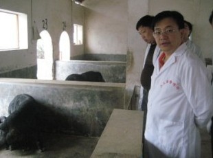 �����L����µ��Ľ��{(di��o)���r(n��ng)�I(y��)�a(ch��n)�I(y��)������(�M�D)