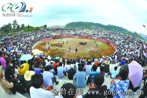 �F������ ��ţ���ԣ��D��