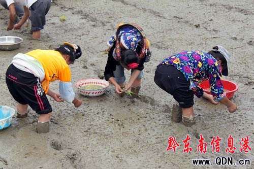 ��կ���������r�� �������æ���D��