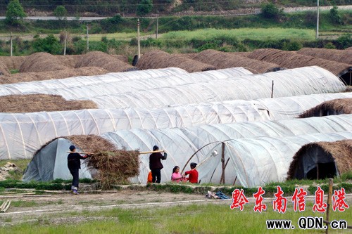 ��aֵ200�fԪ���p�Nֲ��������\�����D��