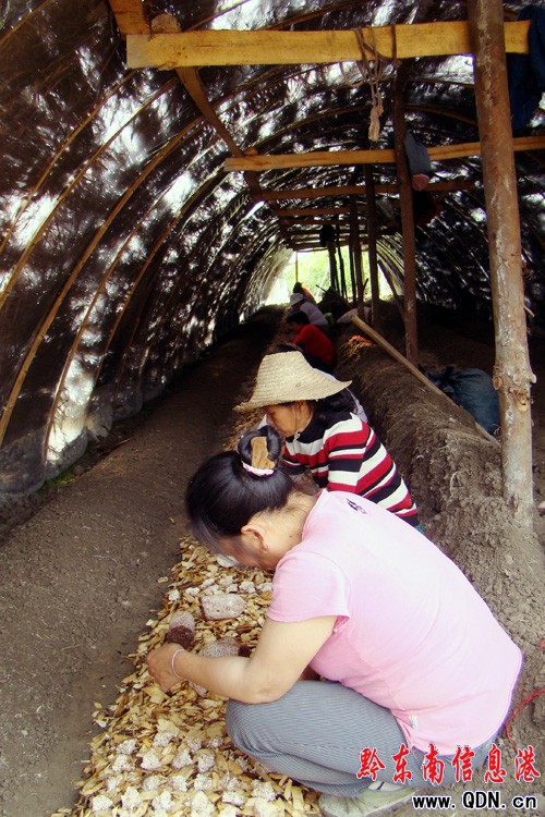 ��aֵ200�fԪ���p�Nֲ��������\�����D��