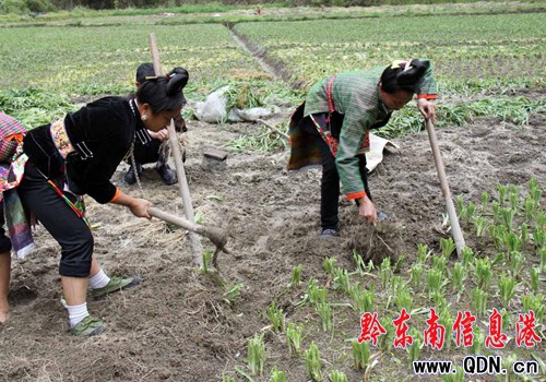 ��կ�خa�²˸��M���S���ո��ڣ��D��