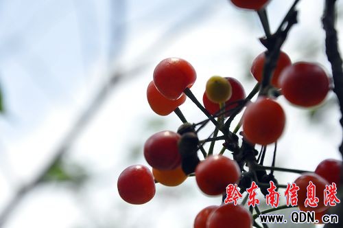 �������� ������͸��M֦�^���M�D��