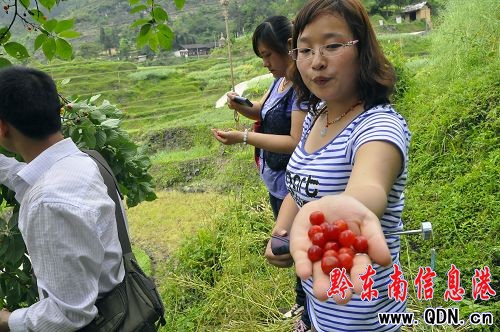 �������� ������͸��M֦�^���M�D��