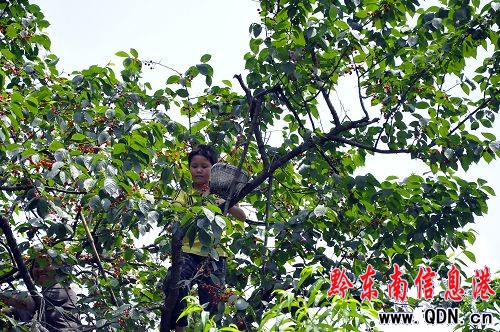 �������� ������͸��M֦�^���M�D��