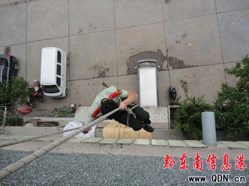 �������˼����������y ���ӈ�������������Ԯ���D��