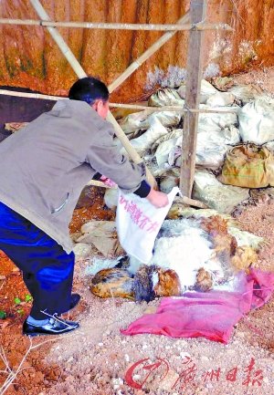 �u؜1Ԫ1ֻُ���u �Ƴɡ�����u������(�D)