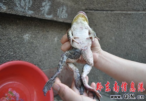 һֻ���һ���� ��ֻ�۾���l�ȣ��D��