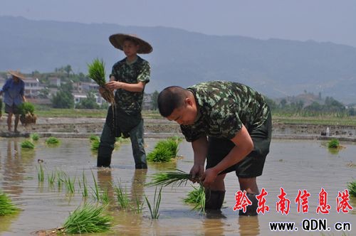 �ræ�r��������� �Sƽ�����m��܊���~ˮ��